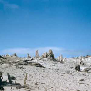 caliche, San Miguel Island, Slide is duplicate