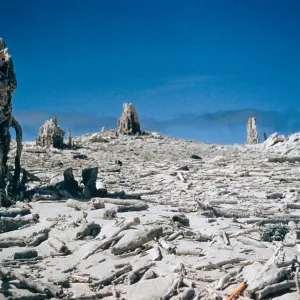 caliche, San Miguel Island, Slide is duplicate