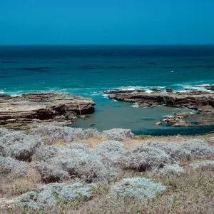 Corral Harbor, San Nicolas Island