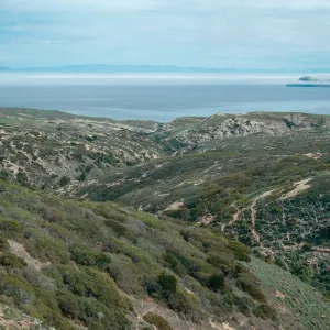 upper Cherry Canyon, West end of Santa Cruz Island, Santa Rosa Island