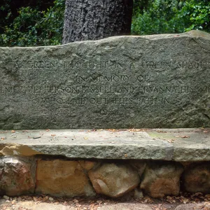Bissell Bench, Santa Barbara Botanic Garden