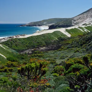 Cuyler Harbor, mouth of CaÃ±ada Del Mar, San Miguel Island
