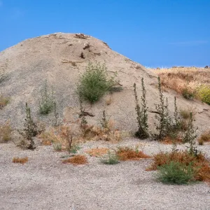 gravel pile with weeds, by Shoba Gate, San Clemente Island