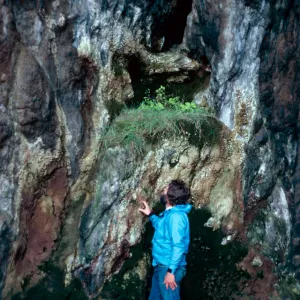 Indian Spring Cave, West Anacapa Island