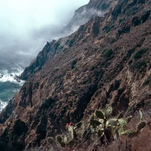 offshore bluffs, East of Cat Rock, West Anacapa Island