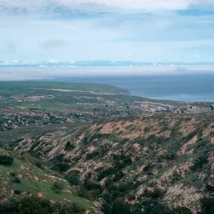 view down Cherry Canyon, Santa Rosa Island