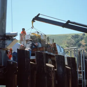 uploading gear, Prisoners Harbor, Santa Cruz Island