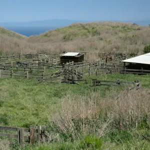 corrals, Campo Del Norte, Santa Cruz Island