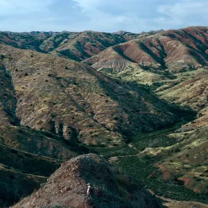 Willows Canyon, from Î” Cave, Santa Cruz Island