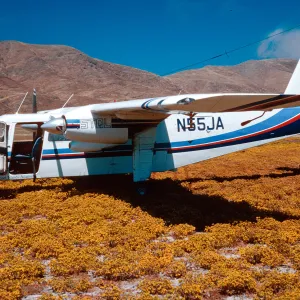 Islander, Forneys Cove, Santa Cruz Island
