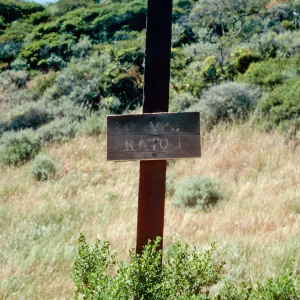 sign at Campo Raton, Santa Cruz Island
