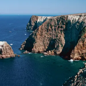 bluffs, just East of Potato Harbor, Santa Cruz Island