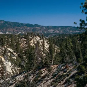 West end of Yellowjacket Trail, Yellowjacket Campground