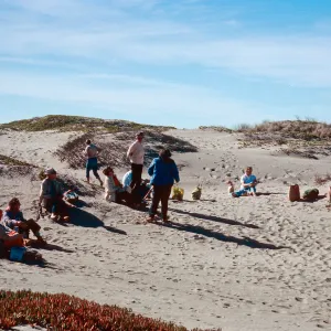 adult education class, dunes at Surf, Santa Ynez River, Santa Barbara County