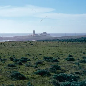 Piedras Blancas lighthouse, Point Piedras Blancas, San Luis Obispo County