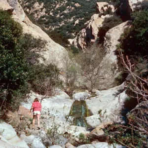 above Seven Falls, Mission Canyon, Santa Barbara County