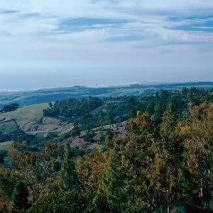 Hearst Castle, San Luis Obispo County