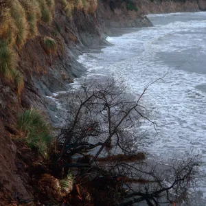 UCSB Campus Beach, Santa Barbara County