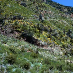 burn site, Highway 33