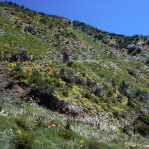 burn site, Highway 33