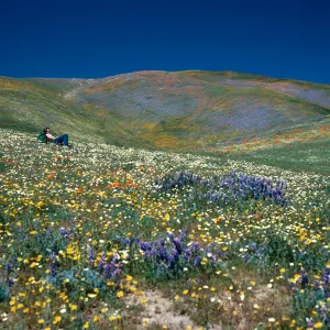 Ralph Philbrick, Gorman