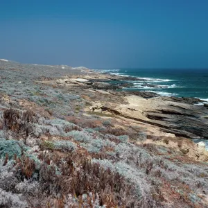 San Nicolas Island