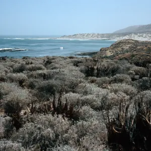 San Nicolas Island