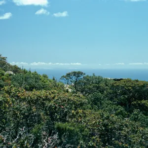 looking toward San MIguel Island, Cresta Road, Hollister Ranch, Santa Barbara County