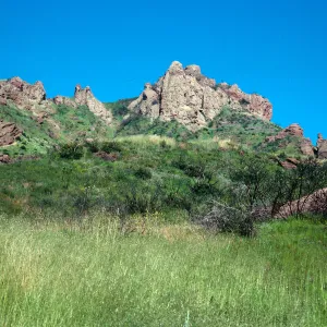 North of Encinal Canyon, Santa Monica Mountains, Los Angeles County 