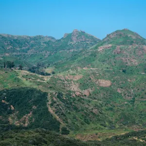 North of Encinal Canyon, Santa Monica Mountains, Los Angeles County 