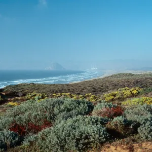 Morro Bay sandspit from North end of MoÃ±tana de Oro, San Luis Obispo County