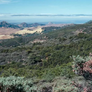 view of Los Osos Valley from Cuesta Botanical area, San Luis Obispo County