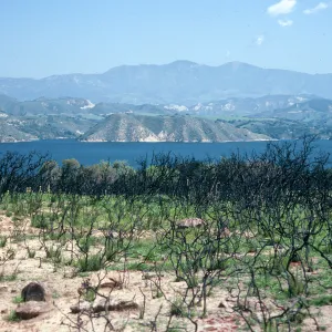 burn at Lake Cachuma, East of road to Bradbury Dam Observation Point, Santa Barbara County