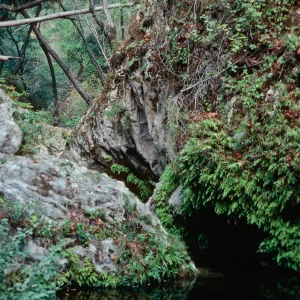Big Falls Canyon Trail, Lopez Canyon, Santa Lucia Mountains, San Luis Obispo County