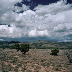 valley between Conners Pass & Wheeler Peak, Conners range from East side. Nevada
