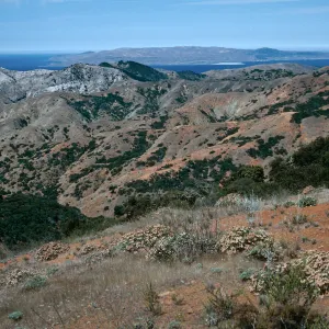 view of Santa Rosa Island from South Ridge Road at Peak 1498, Santa Cruz Island