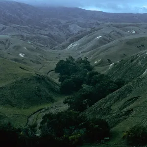 Scorpion Canyon, Santa Cruz Island