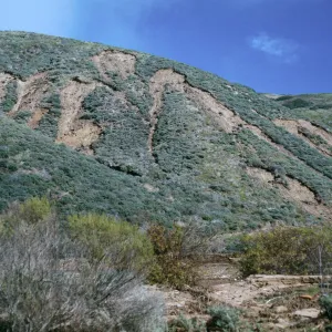 erosion, Coastal Sage Scrub, CaÃ±ada Cedada, Santa Cruz Island