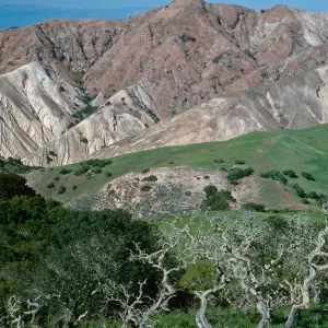view of No Mans Land, Santa Cruz Island