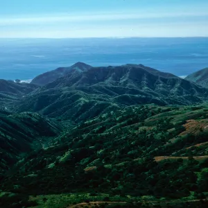 Willows Canyon, Santa Cruz Island