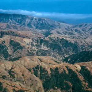 between Laguna & Willows Canyons, Santa Cruz Island