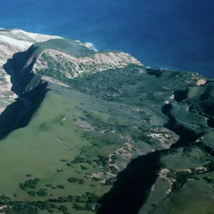 valley, West of MontaÃ±on Canyon, (habitat of Hemizonia clementina), Santa Cruz Island
