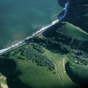 Smugglers Cove, Santa Cruz Island