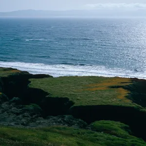 coastal flats, just North of Christy Ranch, Santa Cruz Island