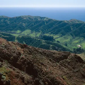 Central Valley from hike to Peak 1848 East, Santa Cruz Island