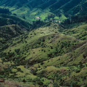 Stanton Ranch from trail to Peak 1848 East, Santa Cruz Island