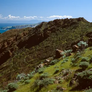 North shore from near Peak 1848 East, Santa Cruz Island