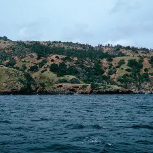 between Pelican Bay & Prisoners Harbor, Santa Cruz Island