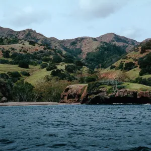 Tinkers, Pelican Bay, Santa Cruz Island