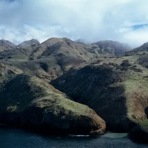 North side, Santa Cruz Island